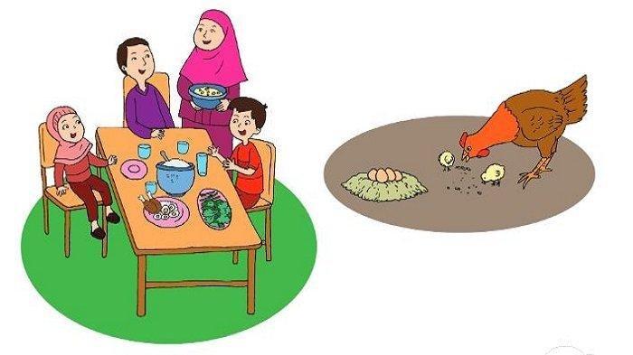 Gambar Buku Tema 1 Kelas 3 Halaman 23