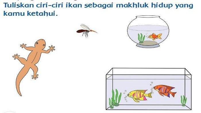 Gambar Buku Tematik Tema 1 Kelas 3 Halaman 4