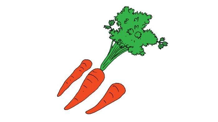 Gambar wortel di buku Tema 1 Kelas 6 halaman 34