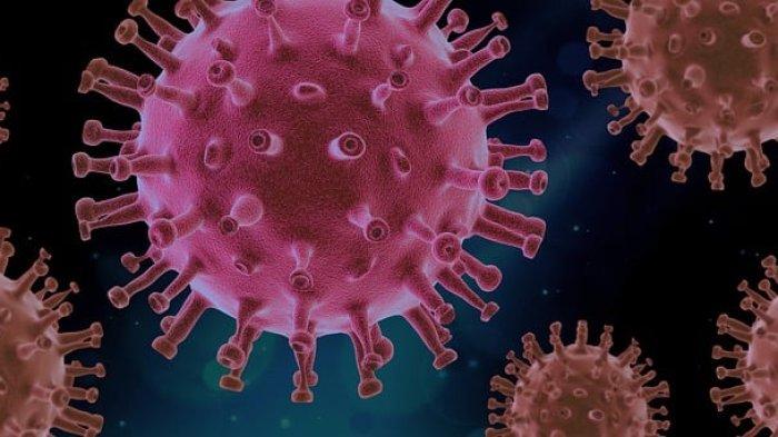 Ilustrasi virus - HEBOH Kasus Penyakit Endemik Baru di China, Kemenkes Minta Publk Waspada Penyebaran Virus HMPV