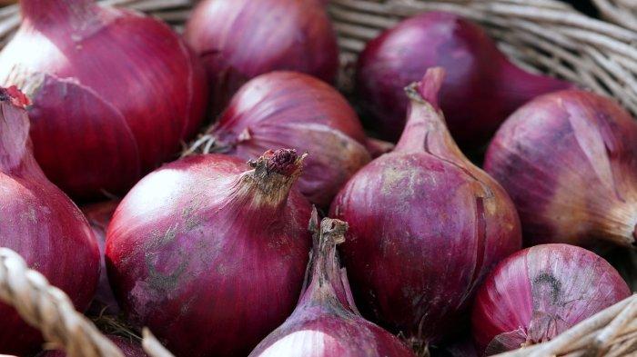 Ilustrasi bawang merah - Harga bawang merah kini anjlok mencapai 40,36% dibawah Harga Acuan Pemerintah (HAP).dan Bawang 29 Juli