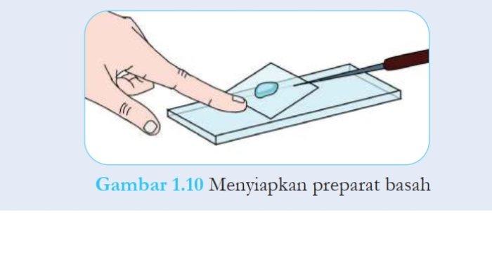 Jawaban Soal IPA Kelas 8 Semester 1 Halaman 8 9 Kurikulum Merdeka 1