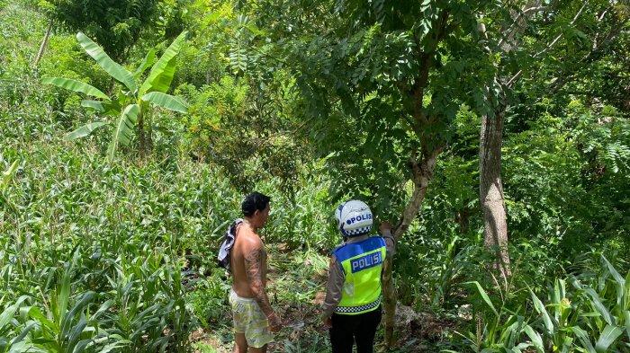 Kecelakaan tunggal terjadi di Jalan Raya Waru, Desa Klumpu, Kecamatan Nusa Penida, Minggu (11/2/2024) siang. Musibah ini menyebabkan seorang wanita hamil dan anak yang dikandungnya meninggal dunia.