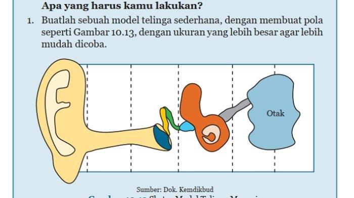 Kunci Jawaban Bahasa Inggris Kelas 8 Halaman 141 142 cover