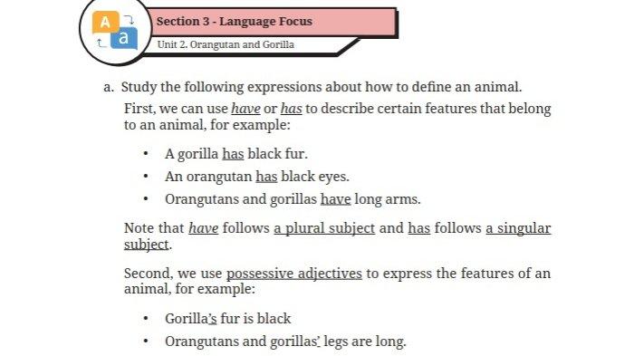 Jawaban Soal Bahasa Inggris Kelas 9 Semester 1 Halaman 48 49 50 51