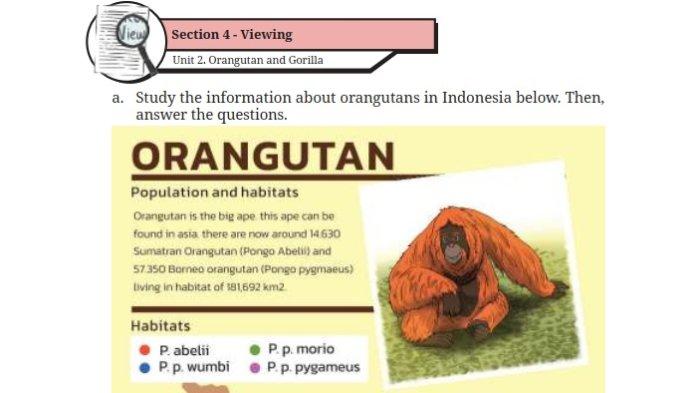 Kunci Jawaban Bahasa Inggris Kelas 9 Halaman 52 53 Kurikulum Merdeka cover