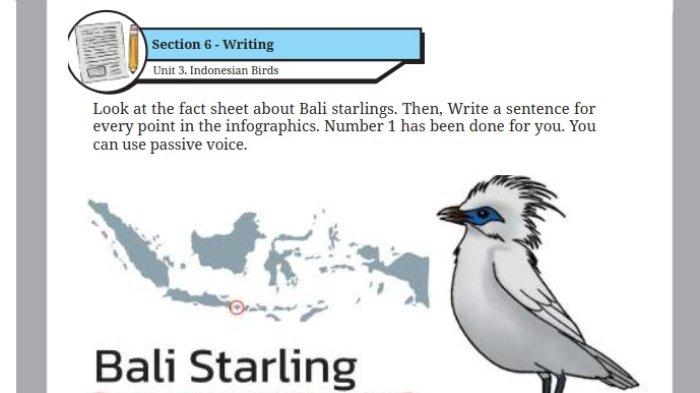 Kunci Jawaban Bahasa Inggris Kelas 9 Halaman 69 70 Kurikulum Merdeka cover