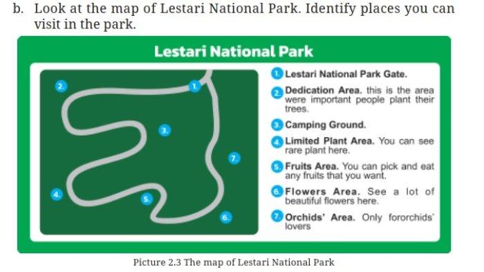 Kunci Jawaban Bahasa Inggris Kelas 9  Kurikulum Merdeka Halaman 96 97 98 99 1