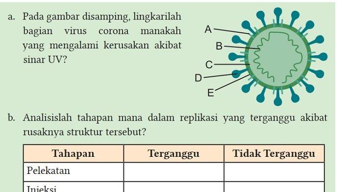 Kunci Jawaban IPA Kelas 10 Semester 2 Halaman 206 207 1