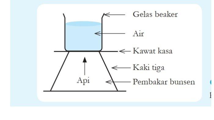 Kunci Jawaban IPA Kelas 7 Semester 1 Kurikulum Merdeka Halaman 10 11 jawaban 1