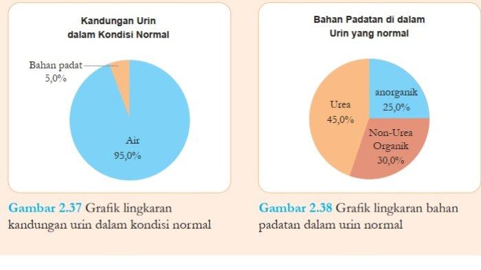 Kunci Jawaban IPA Kelas 8 Halaman 77 Kurikulum Merdeka 1