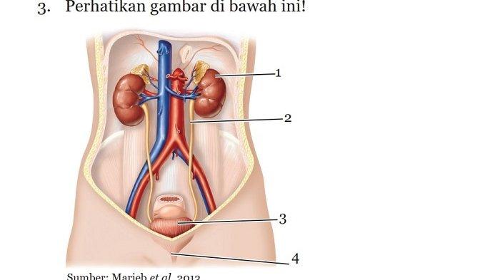 Kunci Jawaban IPA Kelas 8 Semester 2 Halaman 110 111 112 1