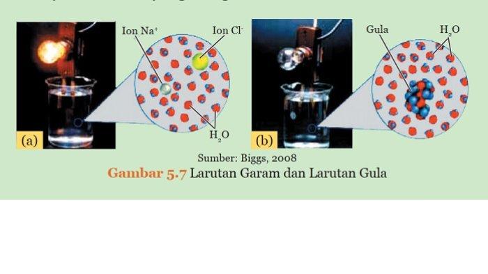 Kunci Jawaban IPA Kelas 9 Semester 1 Halaman 208 209 1