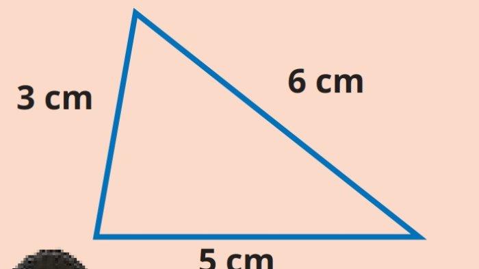 Kunci Jawaban Matematika Kelas 5 SD Kurikulum Merdeka Halaman 115 jawaban 1