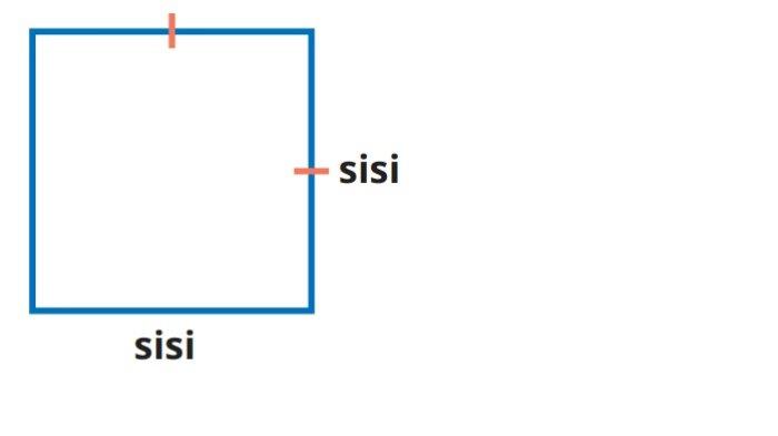 Kunci Jawaban Matematika Kelas 5 SD Kurikulum Merdeka Halaman 145 146 jawaban 3