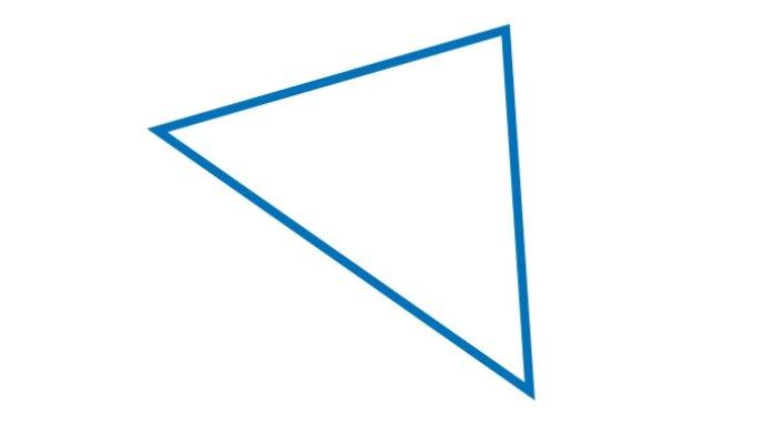 Kunci Jawaban Matematika Kelas 5 SD Kurikulum Merdeka Halaman 169 jawaban 4