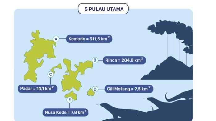 Kunci Jawaban Matematika Kelas 7 Kurikulum Merdeka Halaman 115 116 117 3