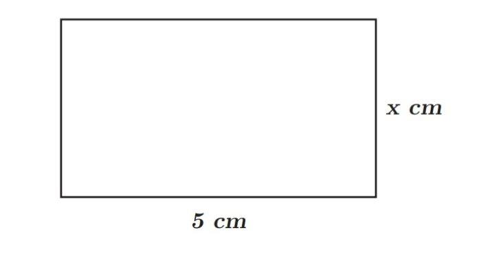 Kunci Jawaban Matematika Kelas 7 Kurikulum Merdeka Halaman 153 154 155 156 2