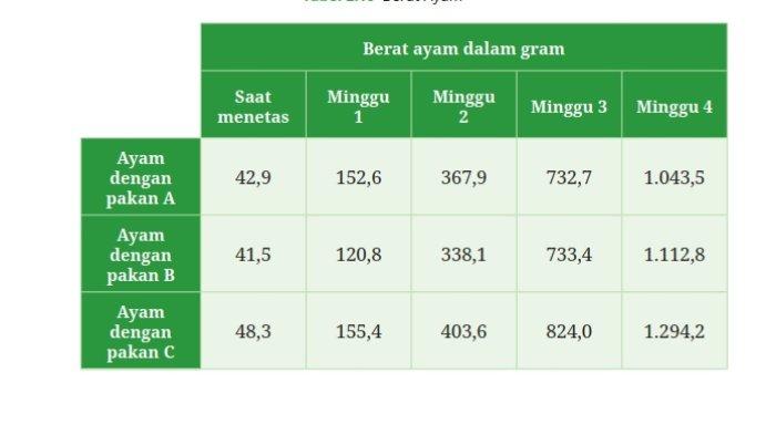 Kunci Jawaban Matematika Kelas 7 Kurikulum Merdeka Halaman 76 77 78 79 80 2