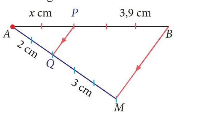 Kunci Jawaban Matematika Kelas 7 Semester 2 Halaman 171 172 3