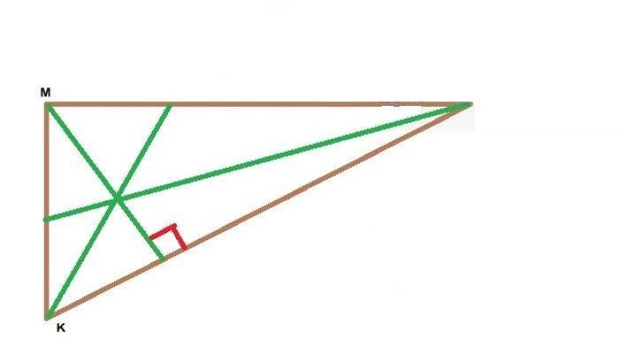 Kunci Jawaban Matematika Kelas 7 Semester 2 Halaman 282 283 6