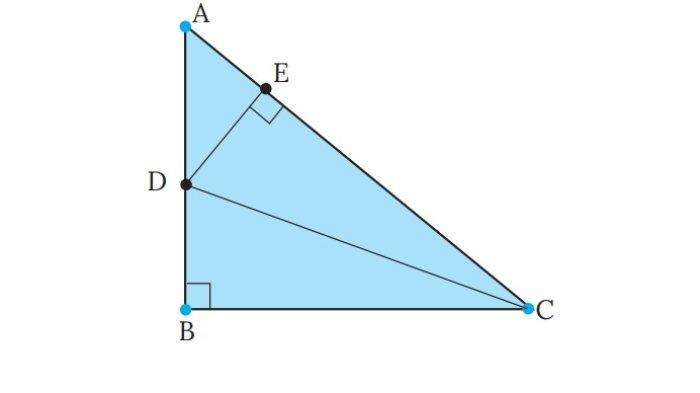 Kunci Jawaban Matematika Kelas 9 Kurikulum Merdeka Halaman 204 205 206 207 209 2