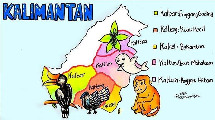 Peta persebaran sumber daya hewan atau tumbuhan di Kalimantan. (Youtube @Cara Menggambar)
