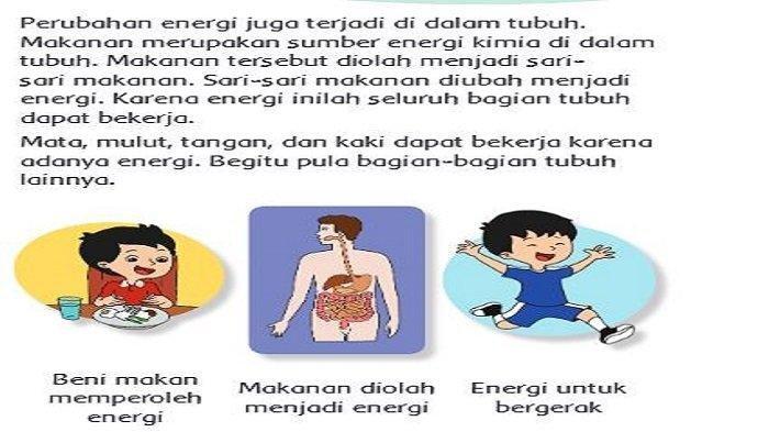 Kunci jawaban Tema 6 kelas 3 SD halaman 54-55