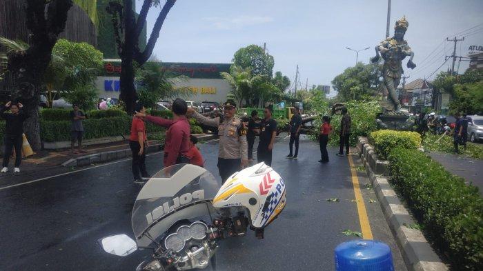 Pohon tumbang di depan Krisna Oleh-oleh di Jalan By Pass Ngurah Rai, Kuta, Badung, Bali, pada Minggu 9 Februari 2025.