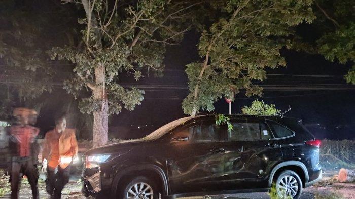 Petugas tim reaksi cepat BPBD Jembrana saat melakukan penanganan pohon tumbang yang menimpa mobil operasional Kalaksa BPBD di Jalur Nasional Jalan Raya Denpasar-Gilimanuk wilayah Desa Pohsanten, Kecamatan Mendoyo, Senin 8 Juli 2024 malam - PENYOK, Mobil Operasional Kepala Pelaksana BPBD Jembrana Tertimpa Pohon, Tertabrak Truk Lalu Tumbang