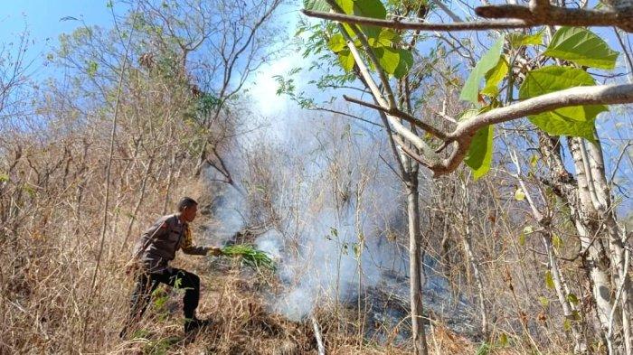  Petugas saat menangani kebakaran hutan di Buleleng beberapa waktu lalu.
