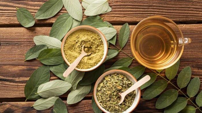 Resep Herbal dengan Daun Kayumanis: Manfaat dan Cara Pembuatannya