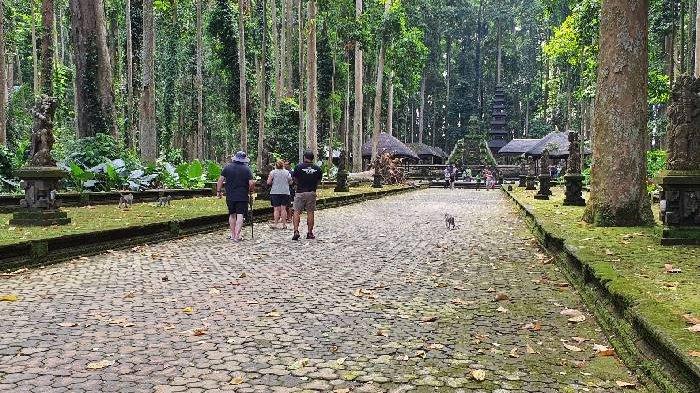 Meski cuaca di wilayah Bali tidak menentu, namun Daya Tarik Wisata (DTW) Sangeh masih menjadi tujuan wisata favorit yang dikunjungi masyarakat saat libur tahun baru. Bahkan pada Rabu (1/1), jumlah kunjungan terus meningkat meski cuaca gerimis.