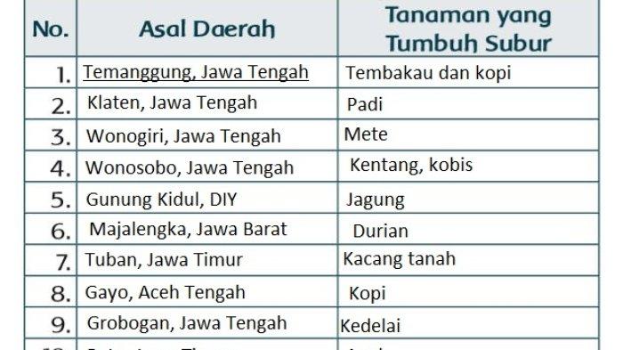 Soal dan Jawaban Tema 5 Kelas 3 Subtema 3 Halaman 131 Pembelajaran 2: Tanaman Tumbuh di Daerah Asal