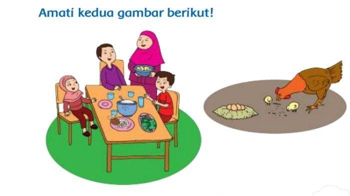 Soal halaman 23 Buku Tematik Tema 1 kelas 3