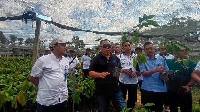 Suasana saat Bupati Jembrana, I Nengah Tamba menunjukkan salah satu bibit unggul kakao di Pusat Penelitian Kopi dan Kakao (Puslit Koka) Jember, Jawa Timur, Sabtu 29 Juli 2023 kemarin.