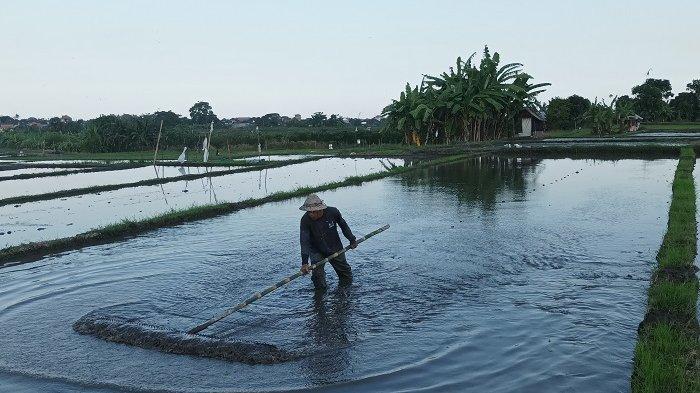 
Subak Sembung Denpasar, Bali.