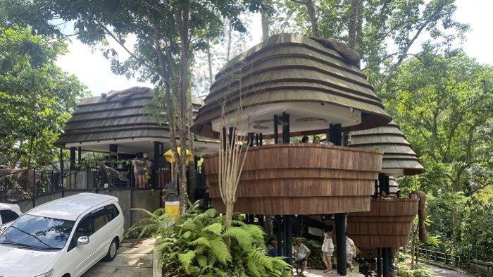 WYAH Ubud