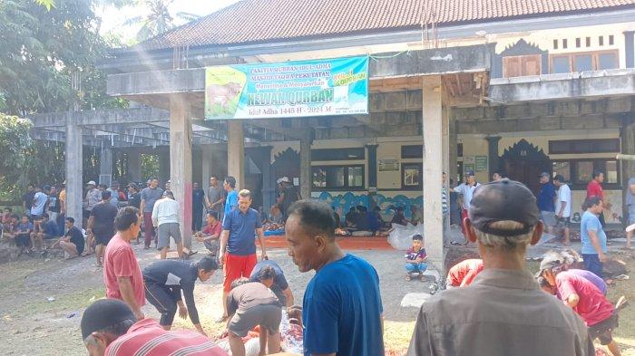 Petugas Medikvet saat melakukan pemeriksaan post mortem pada hewan kurban yang dipotong di areal Masjid Taqwa wilayah Banjar Dauh Pangkung, Desa/Kecamatan Pekutatan, Jembrana, Senin 17 Juni 2024.