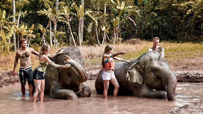 Saat ini yang tengah digandrungi wisatawan di Bali Zoo dan The Sanctoo Villas & Spa adalah mandi lumpur dengan gajah (Elephant Mud Fun). Ini merupakan satu-satunya program memandikan gajah yang ada di Indonesia - suatu program yang membangun kecintaan masyarakat terhadap satwa liar, dengan tujuan turut menjaga kelestarian satwa tersebut.