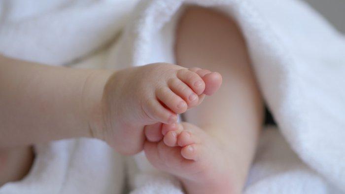 Ilustrasi bayi - Program bayi tabung kian diminati masyarakat. 