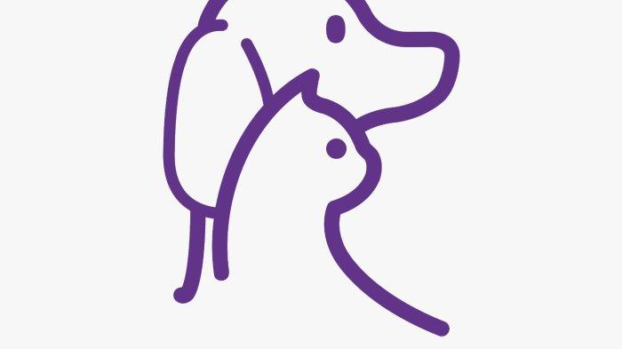 Kebutuhan tersebut saat ini bisa terpenuhi, dengan kehadiran pet care yang menyediakan layanan dari mulai pet shop hingga praktek dokter hewan.

Salah satu pet care yang menyediakan layanan komprehensif tersebut, adalah Rhema Pet Care.

Drh. Renata Saulina, dokter hewan sekaligus Co-Founder Rhema Pet Care menceritakan kisahnya, dalam menghadirkan Rhema Pet Care.