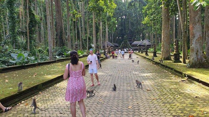 Situasi objek wisata Sangeh, yang berlokasi di Desa Sangeh, Abiansemal Badung. 
 