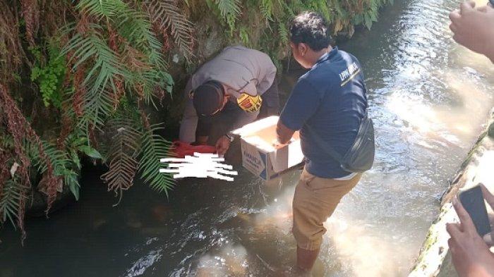 Olah TKP penemuan mayat bayi perempuan di saluran irigasi Yeh Apuh Banjar Dinas Balu, Desa Abiantuwung, Kecamatan Kediri, Kabupaten Tabanan, Senin 21 Agustus 2023.