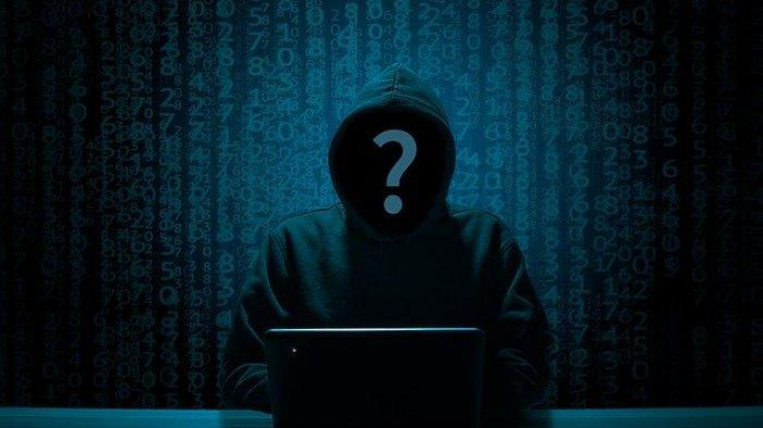 Ilustrasi hacker - Peretasan PDN yang berakibat terganggunya layanan di Perpustakaan Daerah Klungkung telah terjadi sejak Kamis (20/6/2024) lalu. Sistem informasi perpustakaan terpadu (SIPuspa) mengalami gangguan dan tidak bisa diakses sama sekali setelah kabar PDN diretas.