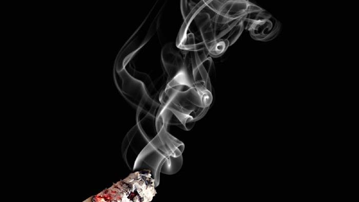 Sejarah Rokok Dari Fungsi Medis Hingga Jadi Candu Dunia Tribun Bali Sejarah Rokok Dari Fungsi Medis Hingga Jadi Candu Dunia Tribun Bali