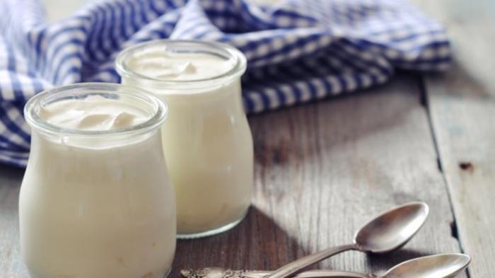 Ilustrasi Yogurt.