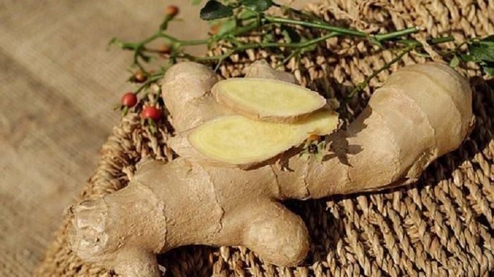 Khasiat jahe untuk obat nyeri akibat radang sendi dan menstruasi