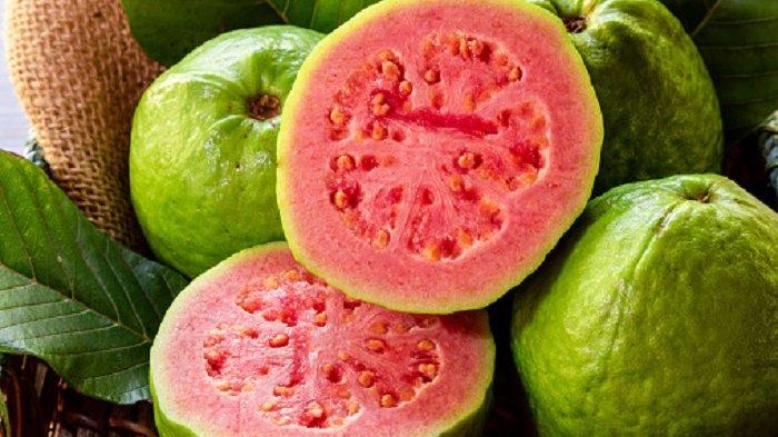 Buah jambu biji yakni buahnya mengandung berbagai zat gizi yang dapat digunakan sebagai obat.