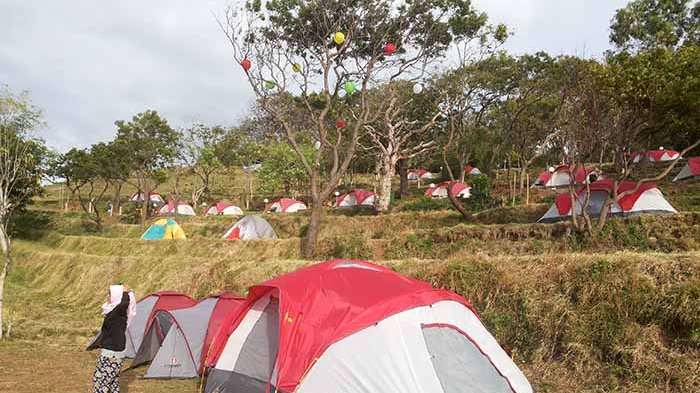 KAMPING - Puluhan tenda untuk kamping dibangun di Bukit Asah, Desa Bugbug, Kecamatan Karangasem.